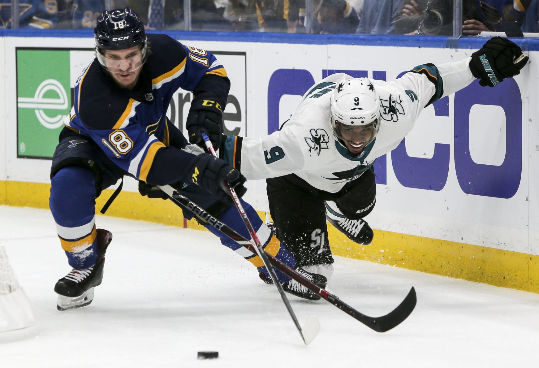 Blues compete for conference title